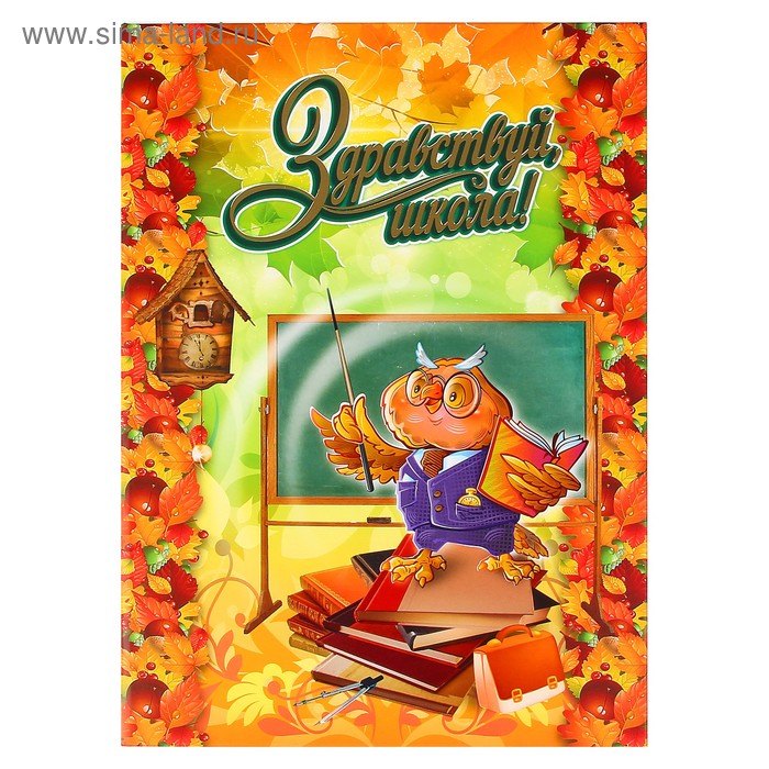 Адресная папка "Здравствуй, школа" сова, 220 х 310 
Адресная папка "Здравствуй, школа" сова, 220 х 310