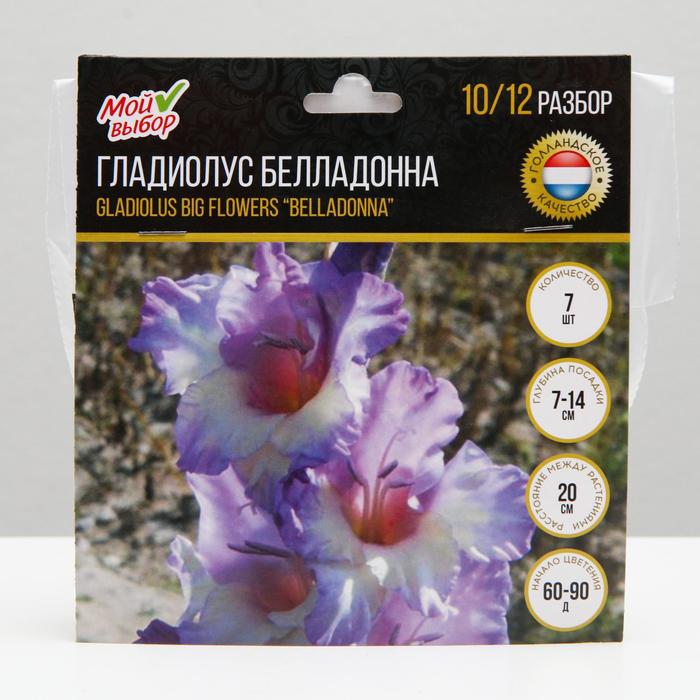 Гладиолус Крупноцветковый "Белладонна", р-р 10/12, 7 шт, Весна 2022,
Гладиолус Крупноцветковый "Белладонна", р-р 10/12, 7 шт, Весна 2022,
