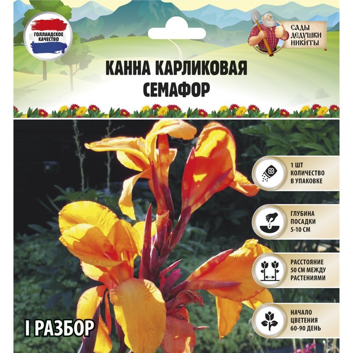 Канна Карликовая "Семафор", р-р I, 1 шт, Весна 2023
Канна Карликовая "Семафор", р-р I, 1 шт, Весна 2023