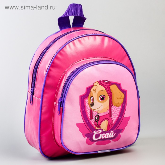 Щенячий патруль. Рюкзак детский «Скай», 21 x 25 см
Щенячий патруль. Рюкзак детский «Скай», 21 x 25 см