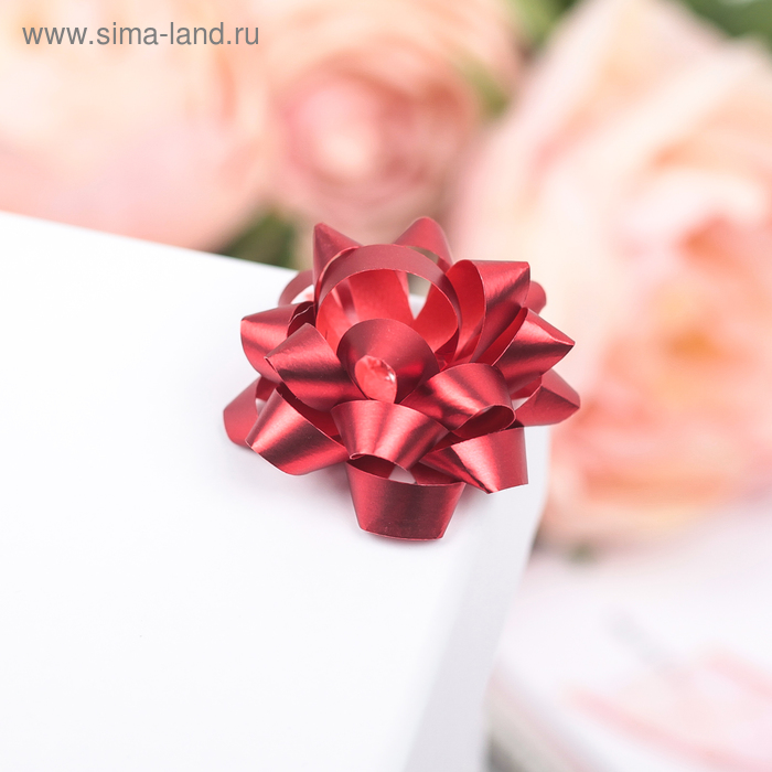 Бант-звезда №3,5, фасовка 8 шт., простой, красный
Бант-звезда №3,5, фасовка 8 шт., простой, красный