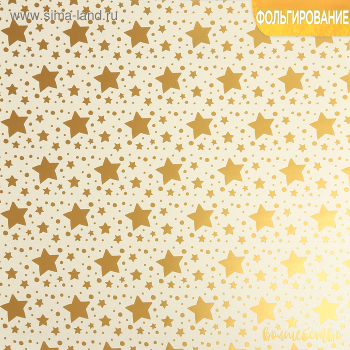 Бумага жемчужная с фольгированием «Волшебство», 30.5 × 30.5 см
Бумага жемчужная с фольгированием «Волшебство», 30.5 × 30.5 см