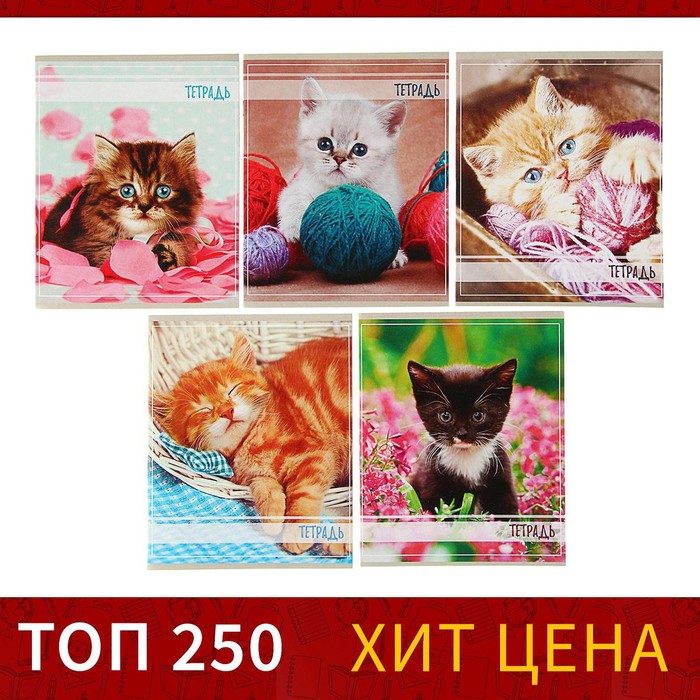 Тетрадь 36 листов в клетку Calligrata "Котята", обложка мелованный картон, блок офсет, МИКС
Тетрадь 36 листов в клетку Calligrata "Котята", обложка мелованный картон, блок офсет, МИКС