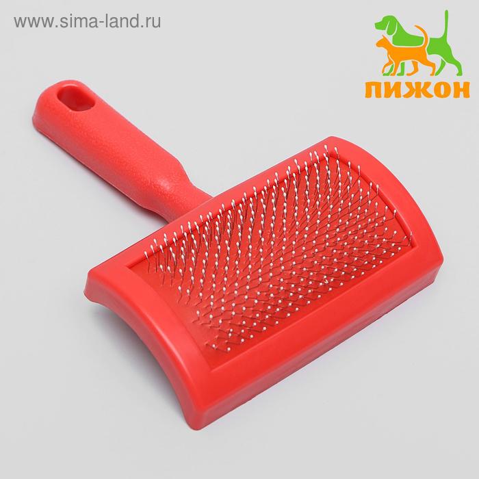 Пуходерка полукруглая средняя с каплями, 10 х 13 см, микс цветов
Пуходерка полукруглая средняя с каплями, 10 х 13 см, микс цветов