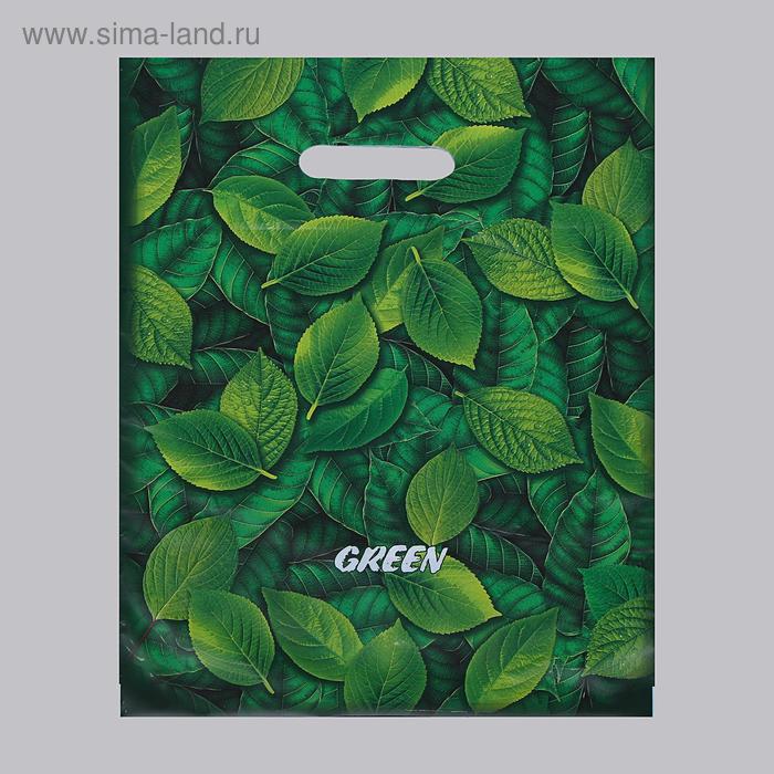 Пакет "Грин", полиэтиленовый с вырубной ручкой, 31 х 40 см, 60 мкм
Пакет "Грин", полиэтиленовый с вырубной ручкой, 31 х 40 см, 60 мкм