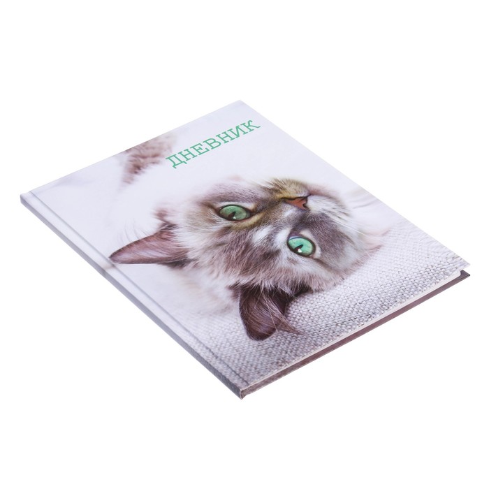 Дневник для 5-11 классов, "Кошка", твердая обложка 7БЦ, глянцевая ламинация, 48 листов
Дневник для 5-11 классов, "Кошка", твердая обложка 7БЦ, глянцевая ламинация, 48 листов