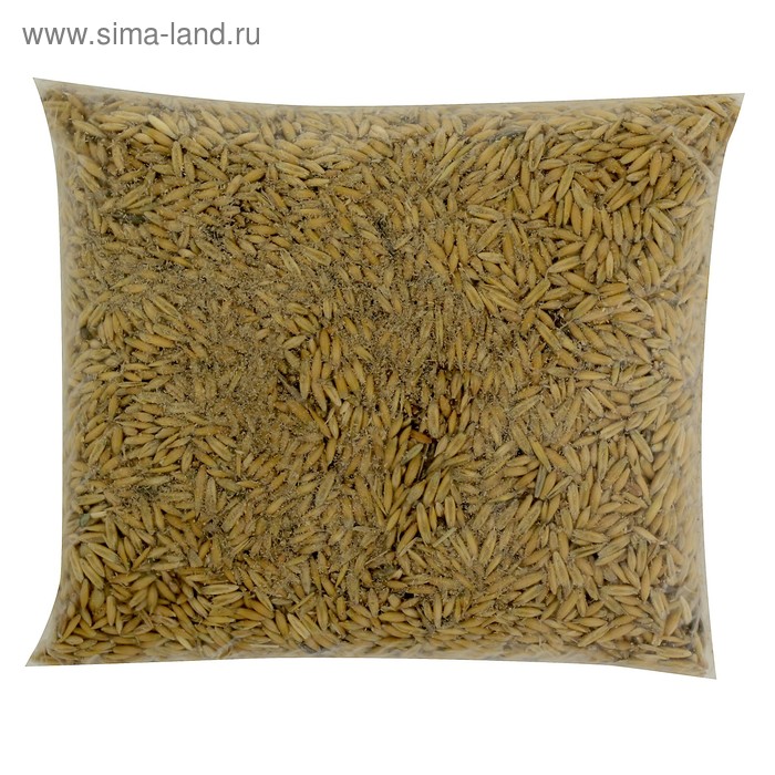 Семена Овес, 800 г 
Семена Овес, 800 г