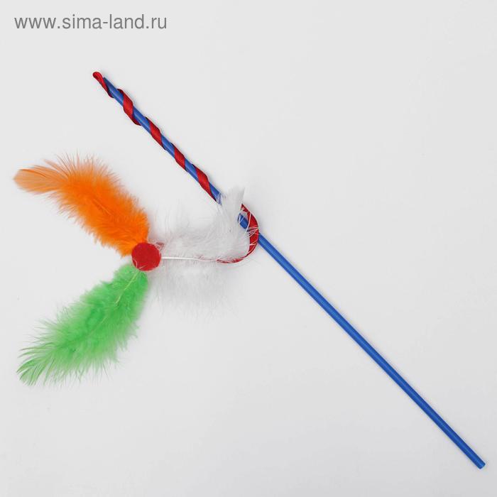 Дразнилка "Вертолет" с перьями, микс цветов
Дразнилка "Вертолет" с перьями, микс цветов