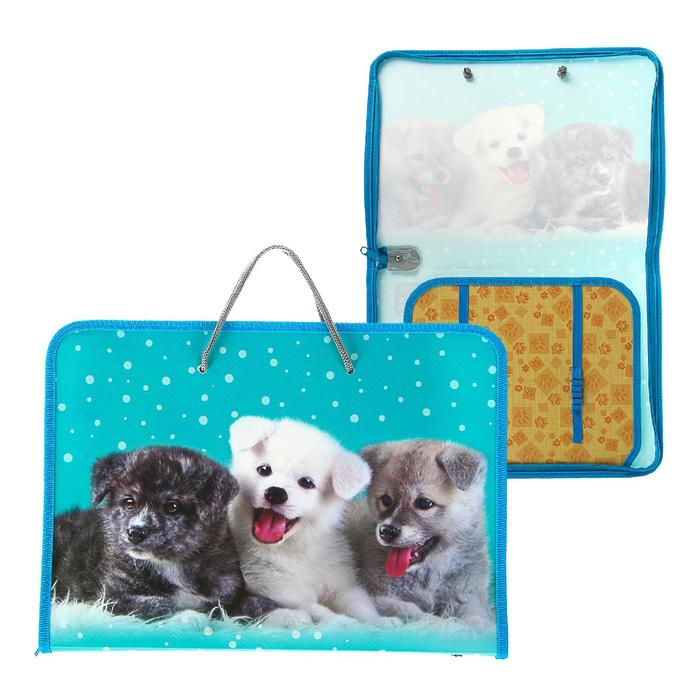 Папка для труда с ручками А4 (320х230х25мм), молния вокруг, пластик "Дружные щенки"
Папка для труда с ручками А4 (320х230х25мм), молния вокруг, пластик "Дружные щенки"