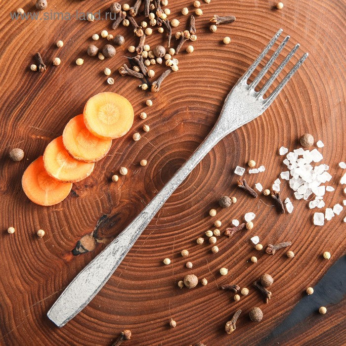 Вилка столовая алюминиевая "Походная", 17 см 
Вилка столовая алюминиевая "Походная", 17 см