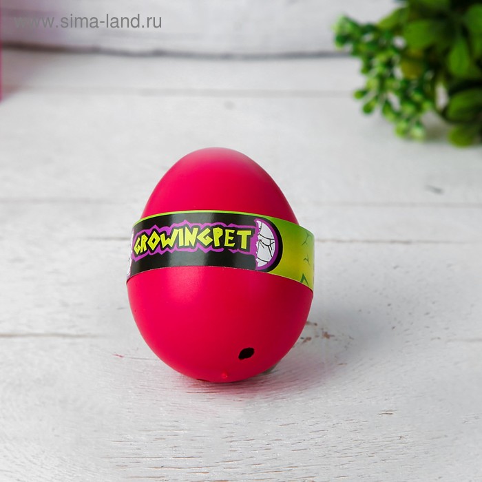 Растущие игрушки «Инопланетные создания», МИКС
Растущие игрушки «Инопланетные создания», МИКС