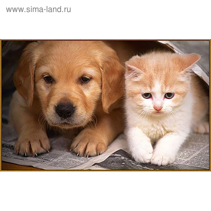 Алмазная мозаика «Друзья с детства», 31 цвет
Алмазная мозаика «Друзья с детства», 31 цвет