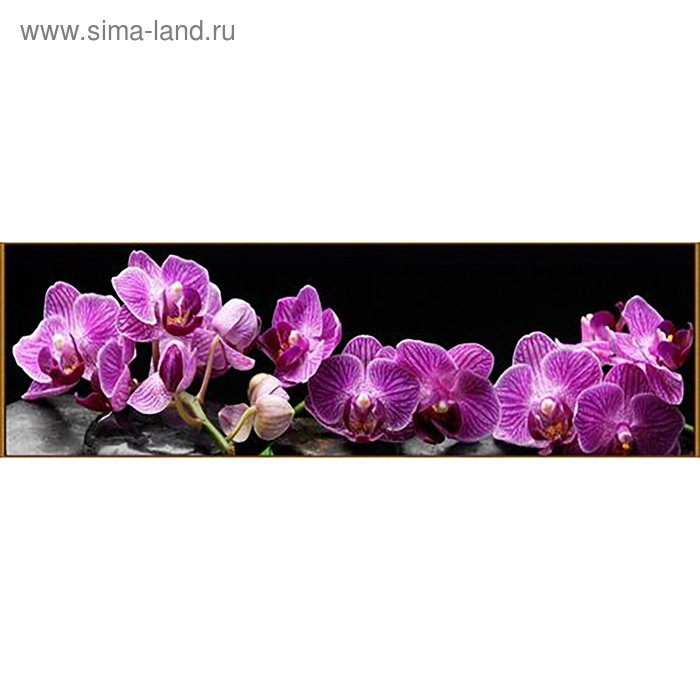 Алмазная мозаика «Тропическая орхидея», 33 цвета
Алмазная мозаика «Тропическая орхидея», 33 цвета