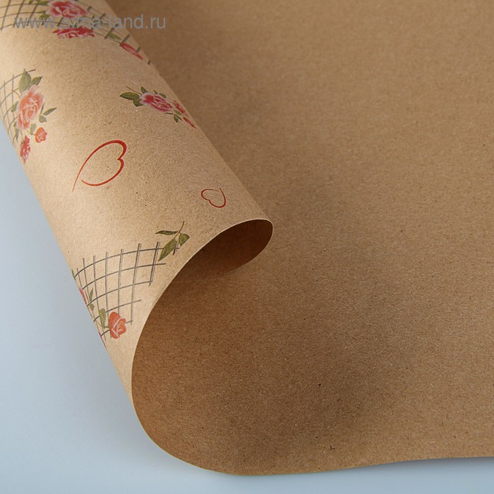 Бумага упаковочная крафт «Цветочная сетка», 0,72 х 10 м
Бумага упаковочная крафт «Цветочная сетка», 0,72 х 10 м