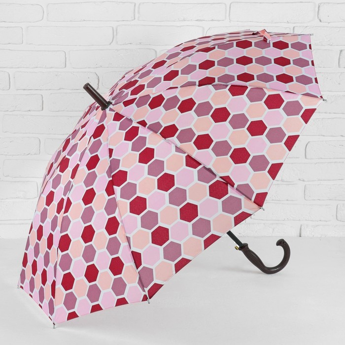 Зонт - трость полуавтоматический, 10 спиц, R = 51 см, цвет красный
Зонт - трость полуавтоматический, 10 спиц, R = 51 см, цвет красный