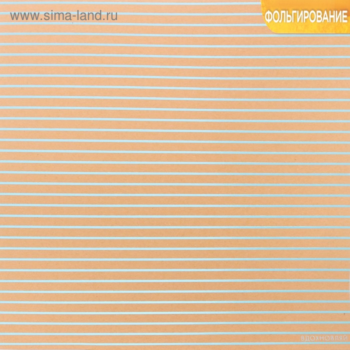 Бумага крафтовая для скрапбукинга с фольгированием «Вдохновляй», 30,5 × 30,5 см, 300 г/м
Бумага крафтовая для скрапбукинга с фольгированием «Вдохновляй», 30,5 × 30,5 см, 300 г/м