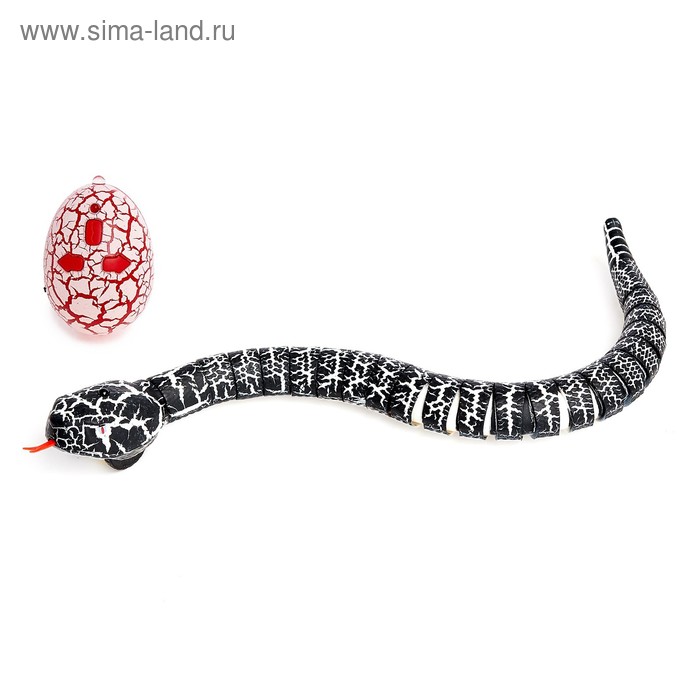 Животное радиоуправляемое «Змея», работает от аккумулятора, свет, МИКС
Животное радиоуправляемое «Змея», работает от аккумулятора, свет, МИКС