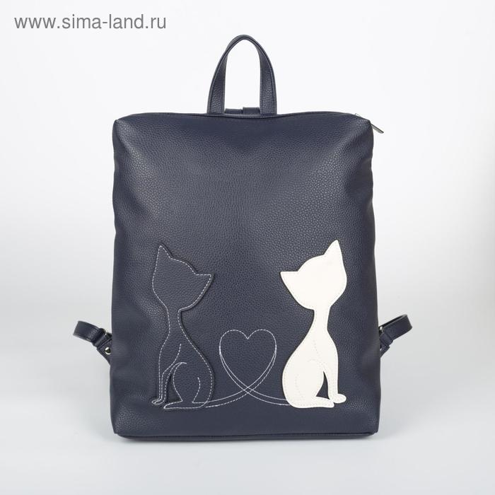 Рюкзак на молнии, цвет синий
Рюкзак на молнии, цвет синий