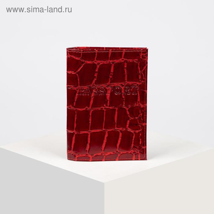Обложка для паспорта, тиснение фольга, крокодил, цвет бордовый
Обложка для паспорта, тиснение фольга, крокодил, цвет бордовый