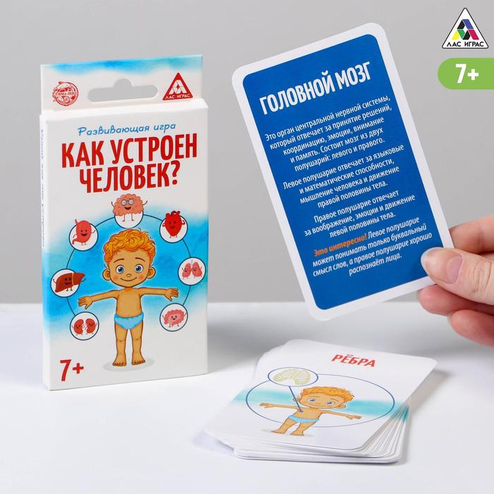 Развивающая игра «Как устроен человек»
Развивающая игра «Как устроен человек»