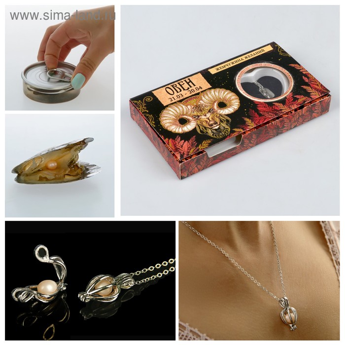 Жемчужина желаний "Зодиак-овен" (цепочка 45 см+кулон)
Жемчужина желаний "Зодиак-овен" (цепочка 45 см+кулон)