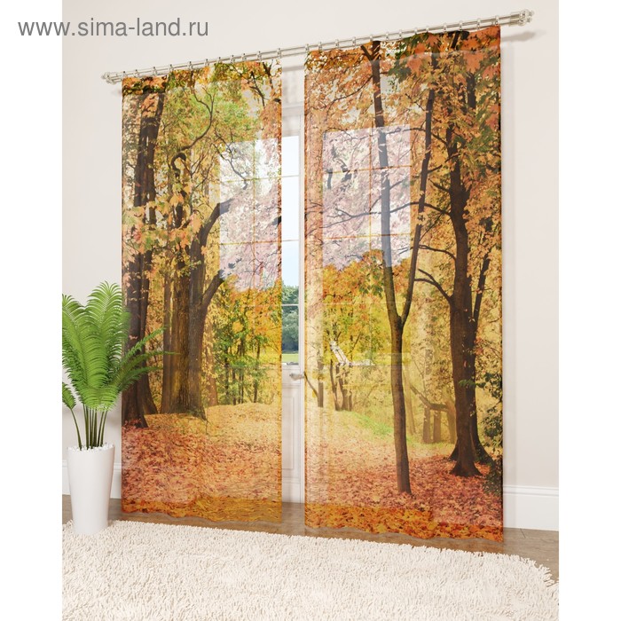 Фототюль «Осенний листопад», размер 145 х 260 см - 2 шт., вуаль
Фототюль «Осенний листопад», размер 145 х 260 см - 2 шт., вуаль