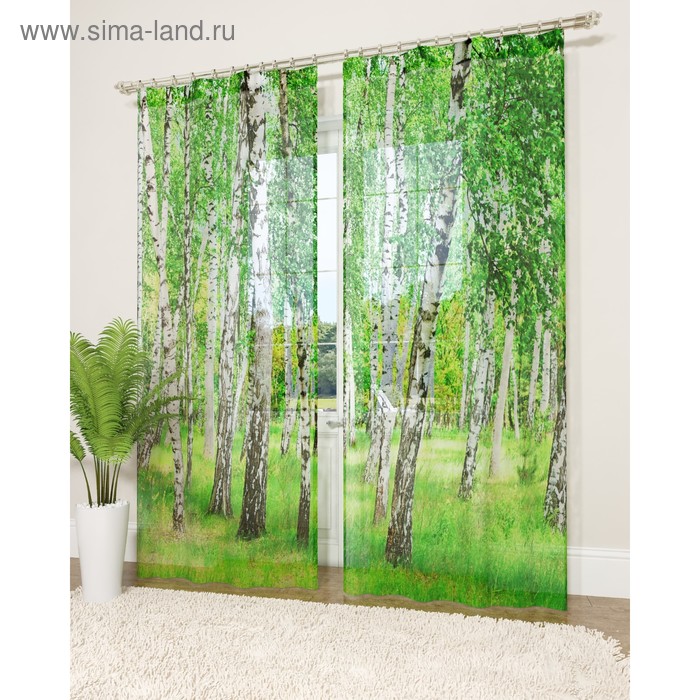 Фототюль «Берёзовая роща», размер 145 х 260 см - 2 шт., вуаль
Фототюль «Берёзовая роща», размер 145 х 260 см - 2 шт., вуаль