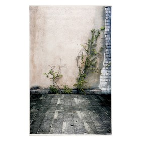 Фотофон винил "Кустарник у бетонной стены" стена+пол 80х125 см
Фотофон винил "Кустарник у бетонной стены" стена+пол 80х125 см