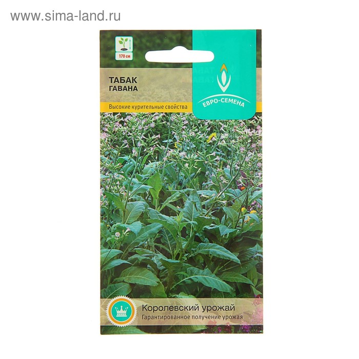 Семена Табак "Гавана",курительный, 0,01 г
Семена Табак "Гавана",курительный, 0,01 г