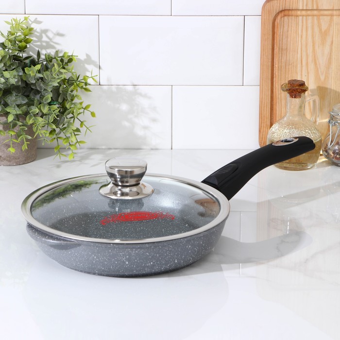 Сковорода «Графит», d=24 см, стеклянная крышка, съёмная ручка, антипригарное покрытие, цвет МИКС
Сковорода «Графит», d=24 см, стеклянная крышка, съёмная ручка, антипригарное покрытие, цвет МИКС