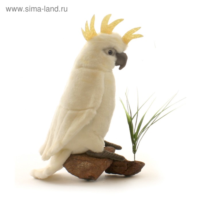 Мягкая игрушка «Большой белохохлый какаду», 22 см
Мягкая игрушка «Большой белохохлый какаду», 22 см