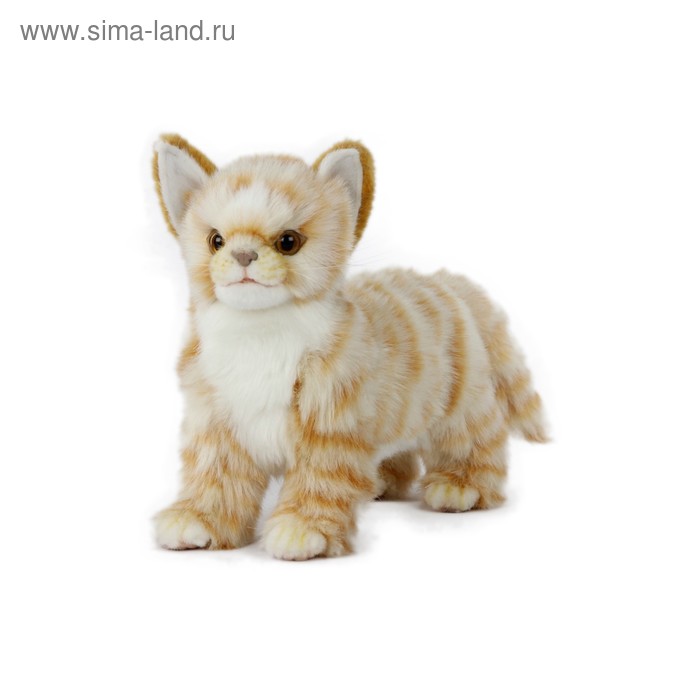 Мягкая игрушка «Котёнок», 22 см
Мягкая игрушка «Котёнок», 22 см