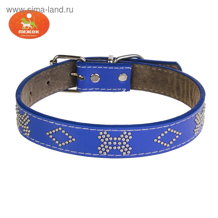 Ошейник "Косточки" морозостойкий украшенный, 52 х 2,5 см, ОШ 37-47 см, синий 
Ошейник "Косточки" морозостойкий украшенный, 52 х 2,5 см, ОШ 37-47 см, синий