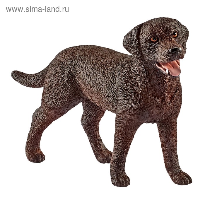 Фигурка «Лабрадор, самка»
Фигурка «Лабрадор, самка»