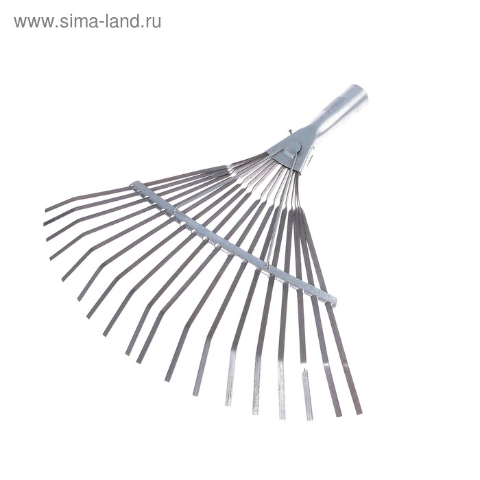 Грабли веерные, пластинчатые, 18 зубцов, оцинковка, без черенка, тулейка 30 мм
Грабли веерные, пластинчатые, 18 зубцов, оцинковка, без черенка, тулейка 30 мм