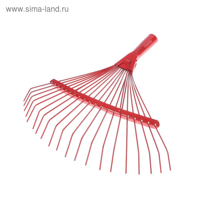 Грабли веерные, проволочные, 20 зубцов, металл, без черенка, тулейка 30 мм
Грабли веерные, проволочные, 20 зубцов, металл, без черенка, тулейка 30 мм