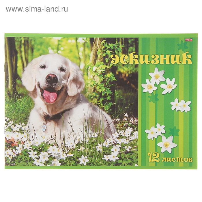 Эскизник А4, 12 листов «Счастливый пёс», бумажная обложка, блок 80 г/м²
Эскизник А4, 12 листов «Счастливый пёс», бумажная обложка, блок 80 г/м²