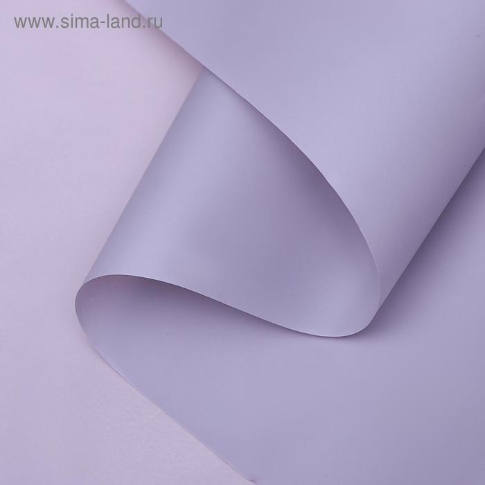 Пленка для цветов матовая "Нуар", сиреневый, 0,5 х 10 м
Пленка для цветов матовая "Нуар", сиреневый, 0,5 х 10 м