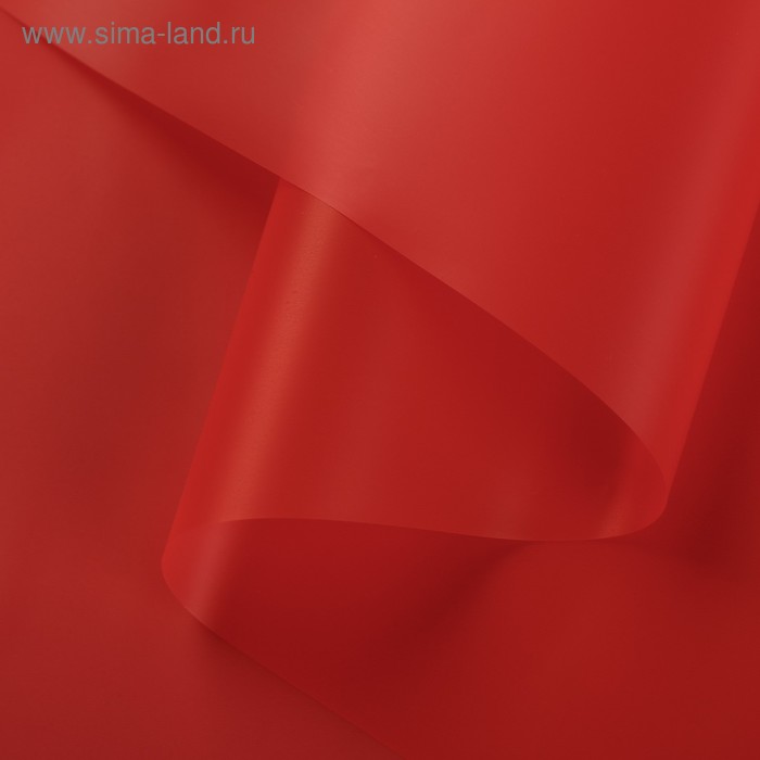 Пленка для цветов матовая "Нуар", скарлет, 0,5 х 10 м
Пленка для цветов матовая "Нуар", скарлет, 0,5 х 10 м