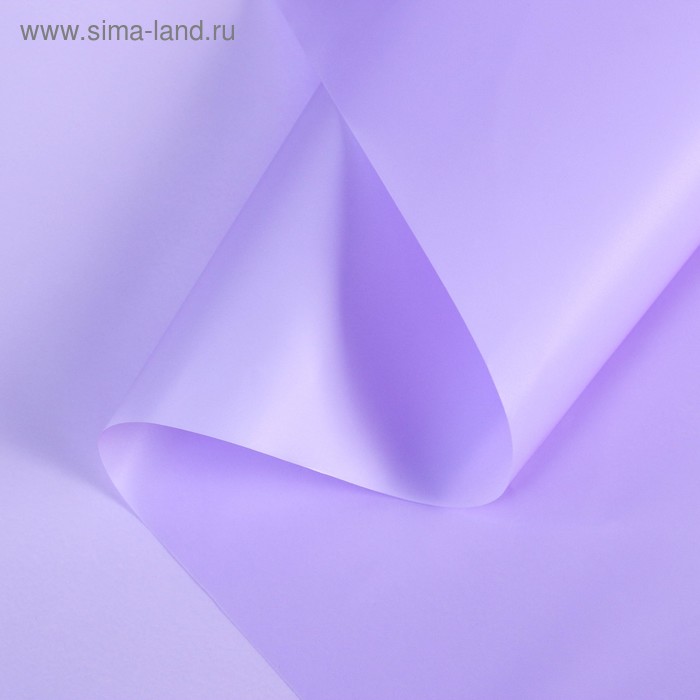 Пленка для цветов матовая "Нуар", лавандовый, 0,5 х 10 м
Пленка для цветов матовая "Нуар", лавандовый, 0,5 х 10 м