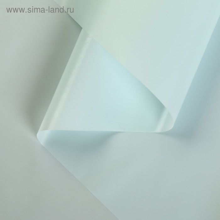 Пленка для цветов матовая "Нуар", светло-голубой, 0,5 х 10 м
Пленка для цветов матовая "Нуар", светло-голубой, 0,5 х 10 м