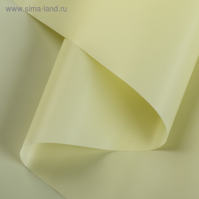 Пленка для цветов матовая "Нуар", слоновая кость, 0,5 х 10 м
Пленка для цветов матовая "Нуар", слоновая кость, 0,5 х 10 м