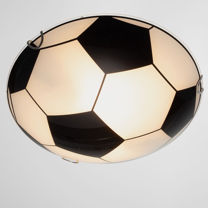 фото Светильник настенно-потолочный "мяч" 2 лампы e27 40вт д.300 h.5,5 см. bayerlux