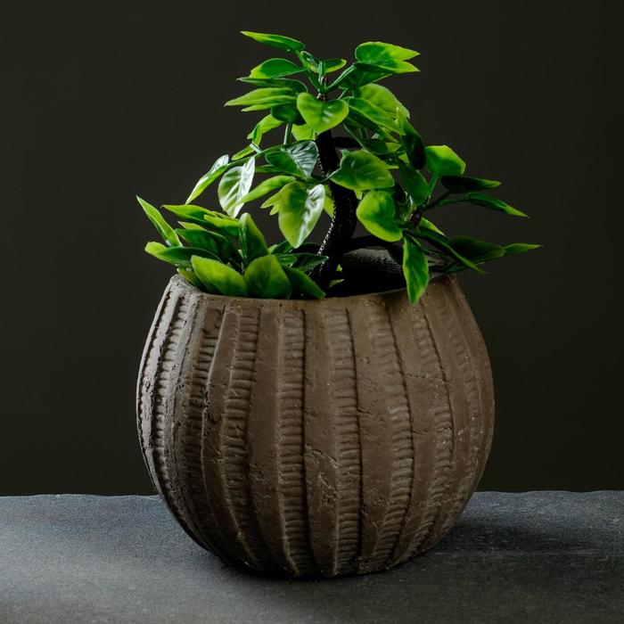 Кашпо "Шар" коричневое 13*13*10 см
Кашпо "Шар" коричневое 13*13*10 см