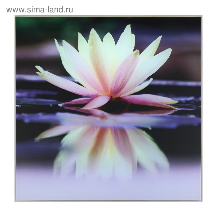Картина "Кувшинка на воде" 30*30 см 
Картина "Кувшинка на воде" 30*30 см