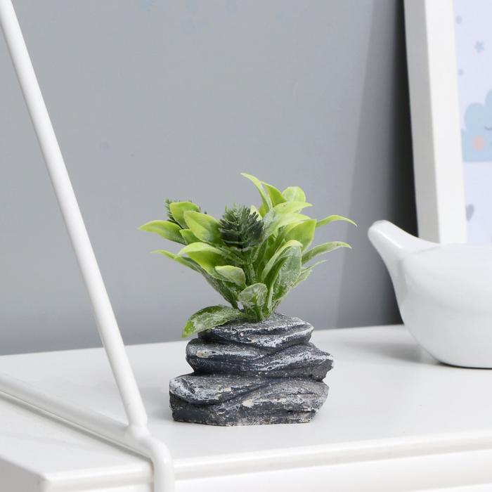 Бонсай "Веточки на камне" 4х7х7,5 см
Бонсай "Веточки на камне" 4х7х7,5 см