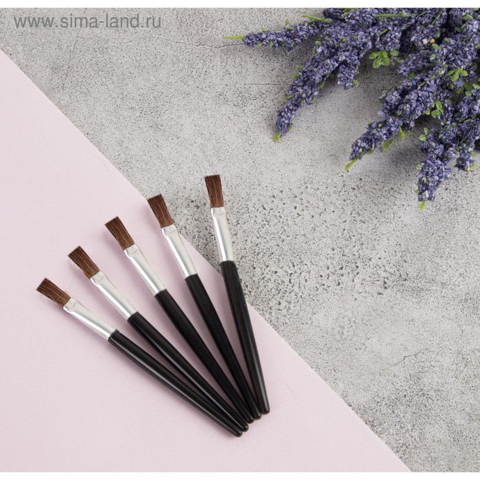 Набор кистей для макияжа, 7,5 см, 5 предметов, цвет чёрный
Набор кистей для макияжа, 7,5 см, 5 предметов, цвет чёрный