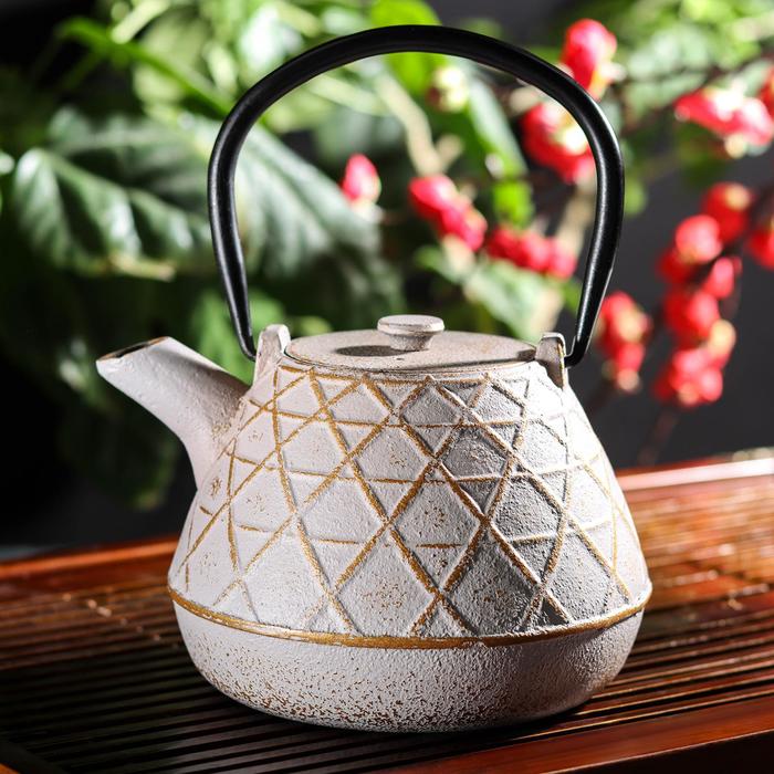 Чайник «Ламис», 1 л, с ситом, цвет МИКС 
Чайник «Ламис», 1 л, с ситом, цвет МИКС