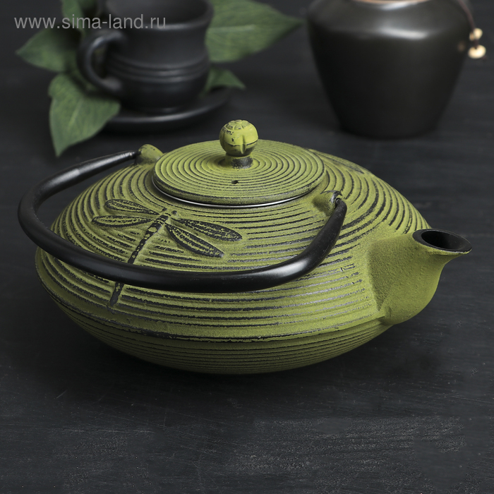 Чайник «Стрекоза», 800 мл, с ситом
Чайник «Стрекоза», 800 мл, с ситом