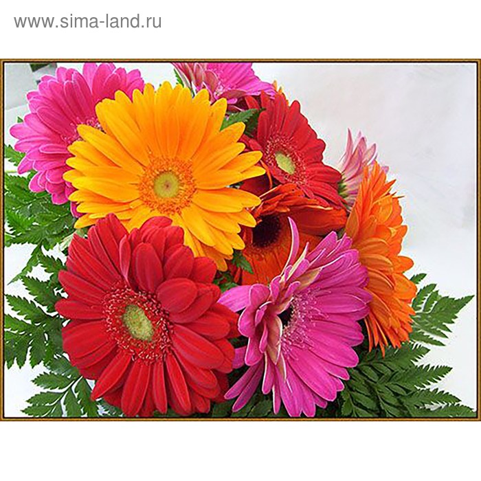 Алмазная мозаика «Герберы», 26×20 см, 32 цвета
Алмазная мозаика «Герберы», 26×20 см, 32 цвета